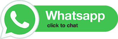 WhatsApp Chat Icon